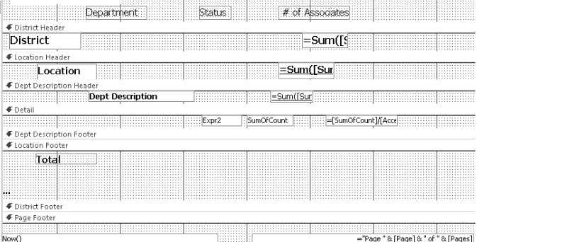 ms access reporting