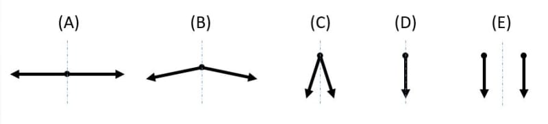 vertices_z0klaj.jpg