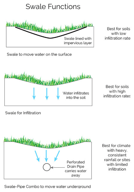 image_f67qrn.png