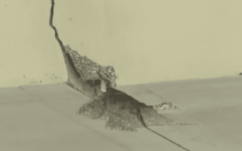 image_tdkxu3.png