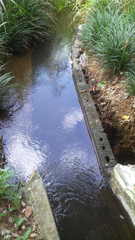 Canal_Plaisance_33_ukuy3o.jpg