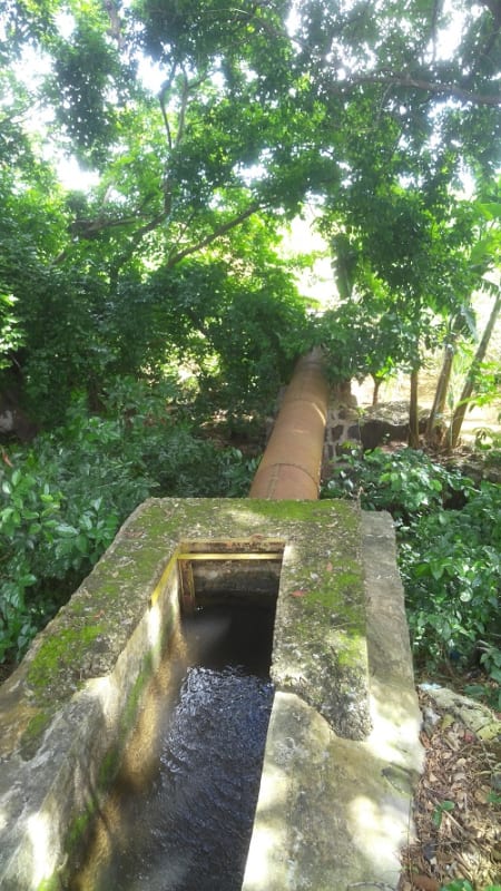 Canal_Plaisance_32_b2mus1.jpg