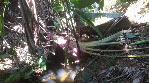 Canal_Plaisance_24_yeocqs.jpg
