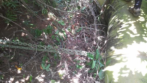 Canal_Plaisance_18_t6aoxo.jpg