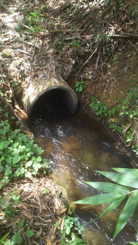 Canal_Plaisance_2_hohscw.jpg