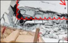 FIU_BLISTER_02_lcswkp.jpg
