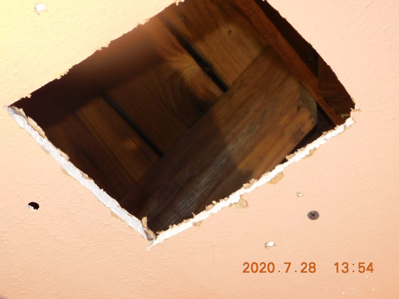 DSCN0077_dqtnwv.jpg