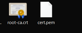 66666_cfidp2.png