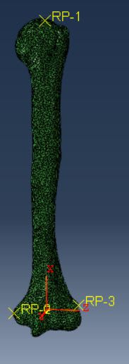 Local_Coordinate_System_pdokp8.jpg