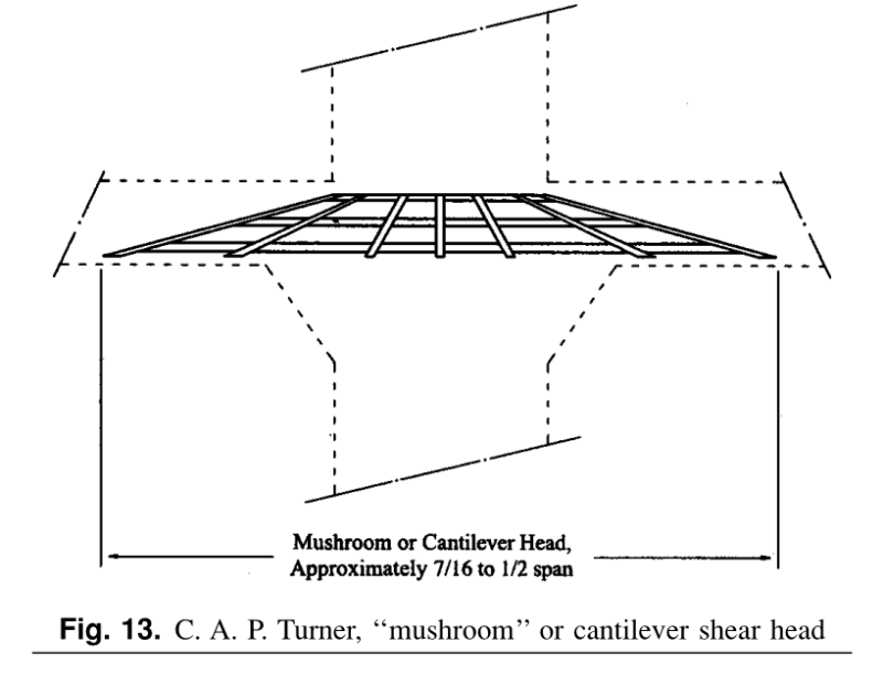 mushroom_rmzpy9.png