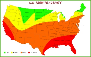 termites-300_igvhfd.png