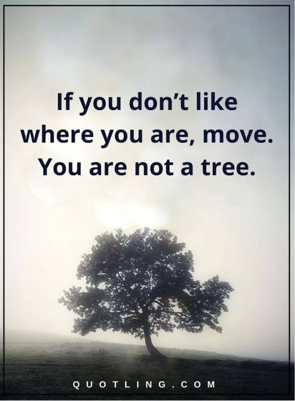move..c48c0940_byqf88.jpg