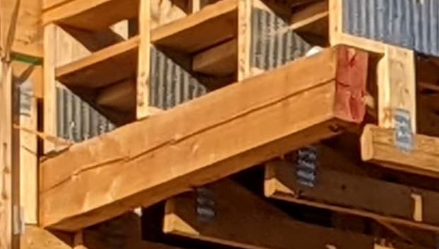 timber_end_tpkger.jpg