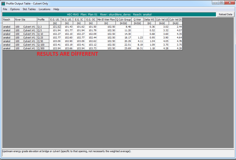 HEC-RAS_RESULT_j07sbr.png