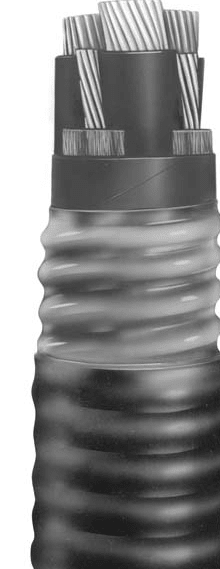 image_ag8hge.png
