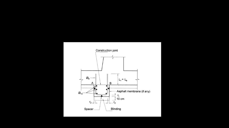Shear_nib_pa1awa.jpg