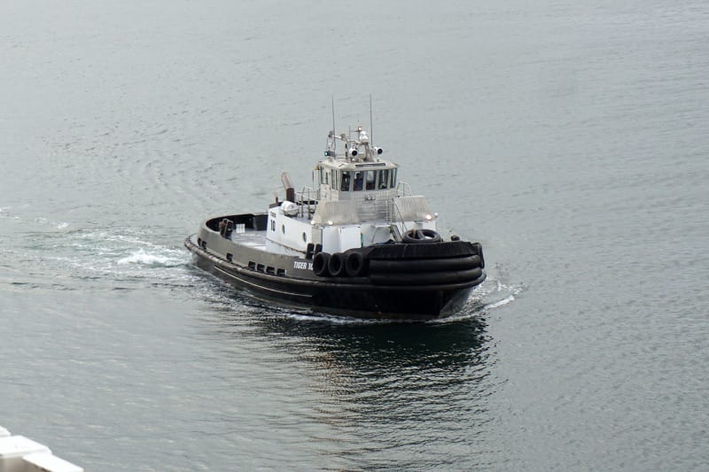 NQ-046_smorwz.jpg