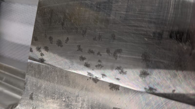 PXL_20210415_091140083_qbfgkt.jpg