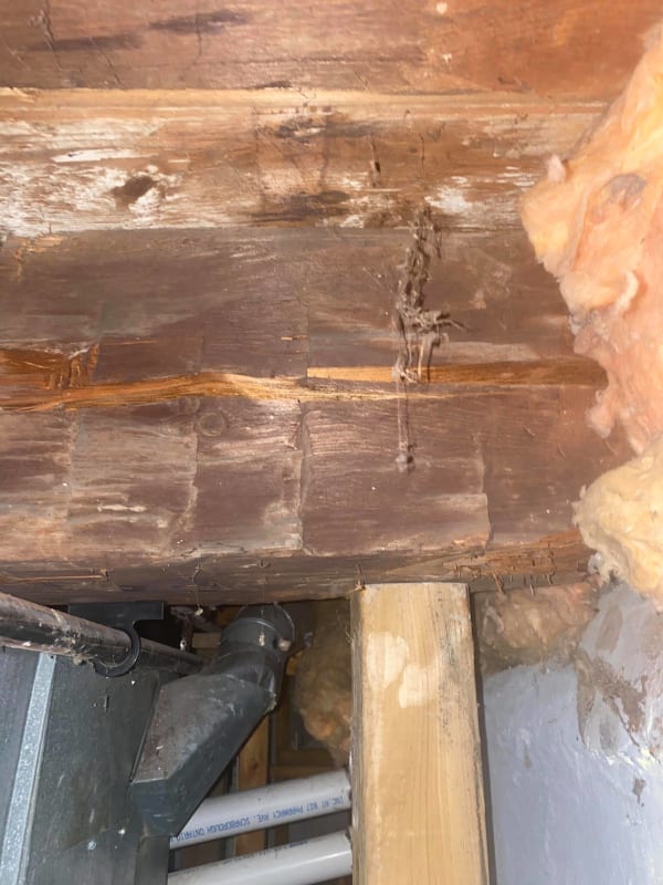 Beam_cracked_temporary_4x4_support_posts_due_to_safety_concern_ophliv.jpg