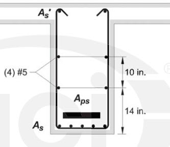 skin_reinf_at_midspan_sp74gd.jpg