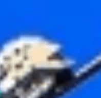 pawl_cq16bo.jpg