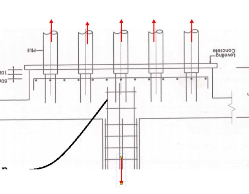 C01_kb5jrh.jpg