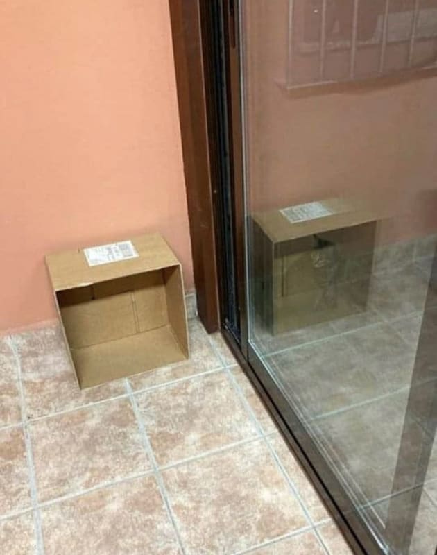 Schrodinger_s_Cat_wdizgj.jpg