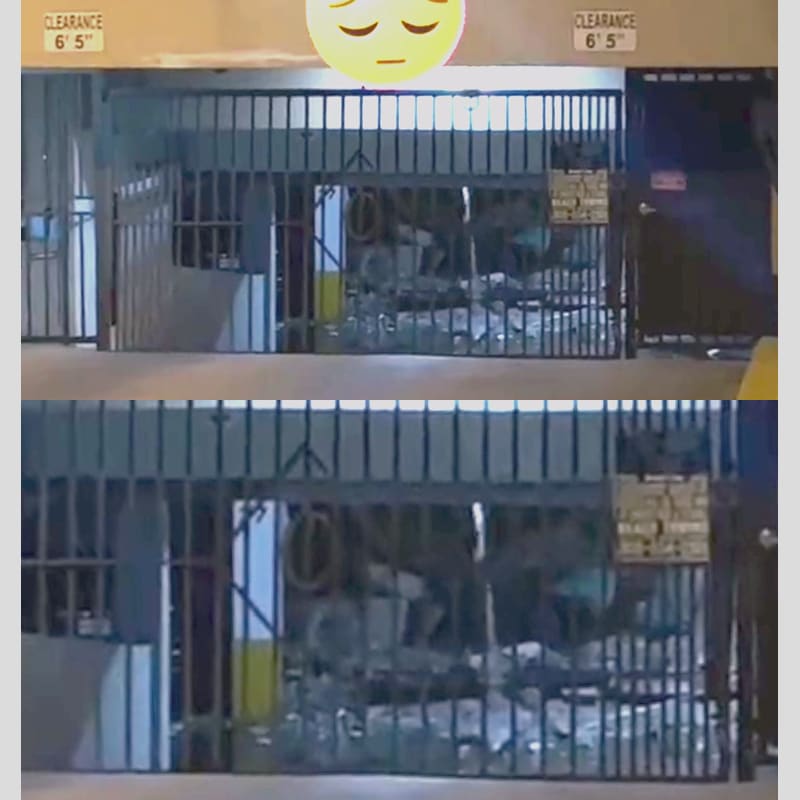 TikTok_Frame_Enhnaced.02_pk9u3f.jpg