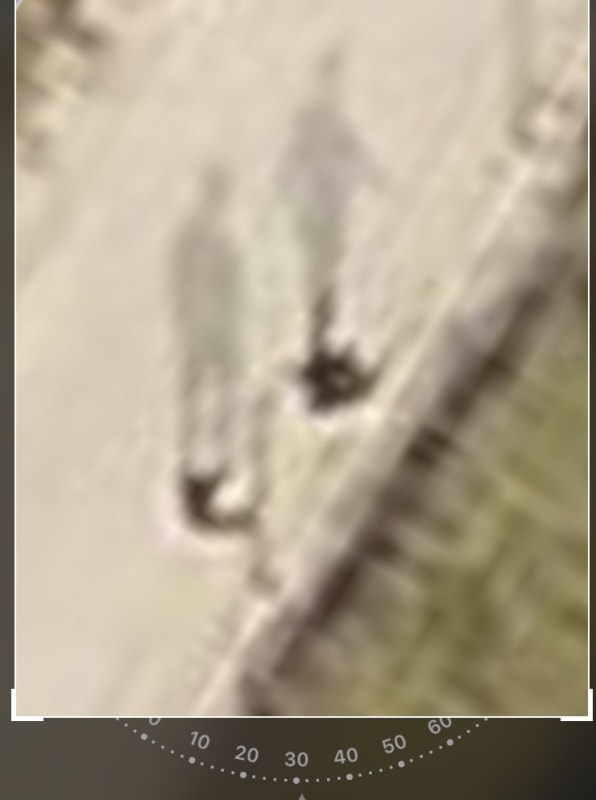 F77C69E0-1514-430E-BD59-DB89CC53C193_nspirl.jpg