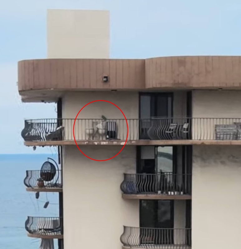 balcony_sitters_cekjkb.jpg