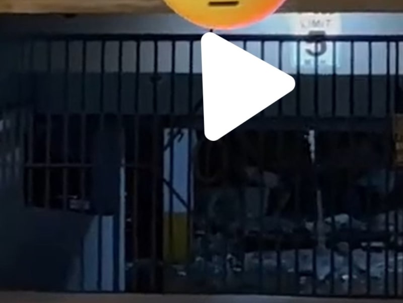 TikTok_view-CTS-cr-rot_uargdh.jpg