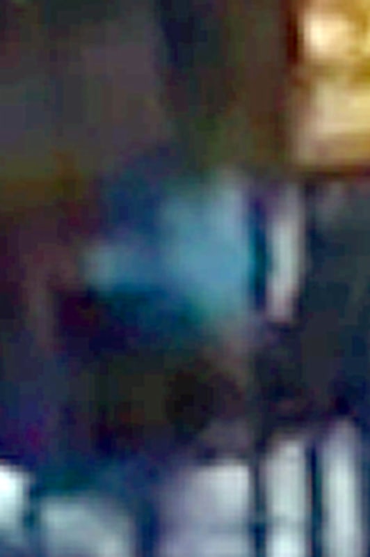 what_the_tictoktif_copy_q1dwhx.jpg