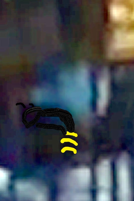 A_Giant_Yellow_Jacket_-_what_the_tictok_tif_copy_q1dwhx_l1twxx.jpg