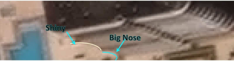 My_Bald_Forehead_Big_Nose_Crop_km9lz9.jpg