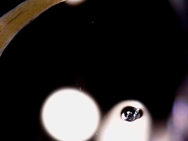 WIN_20210805_12_28_47_Pro_ddhjqz.jpg