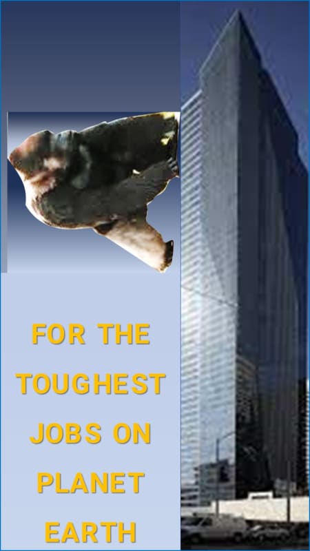 Millennium_Tower_fix_whcsw6.jpg