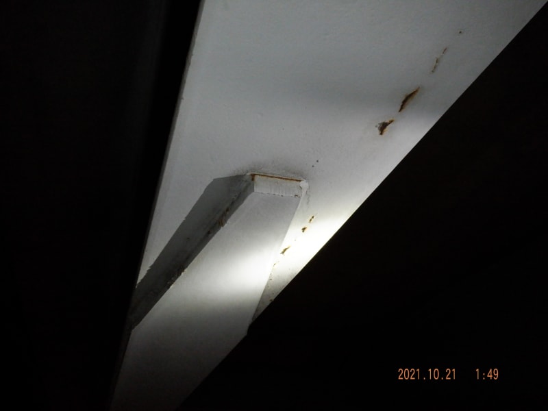 DSCF2678_h9vj7s.jpg