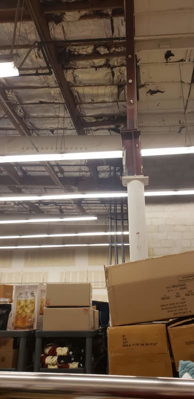 20190516_150537_wpku2h.jpg