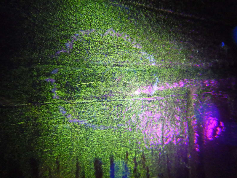 DSCN0366_bhdxtm.jpg