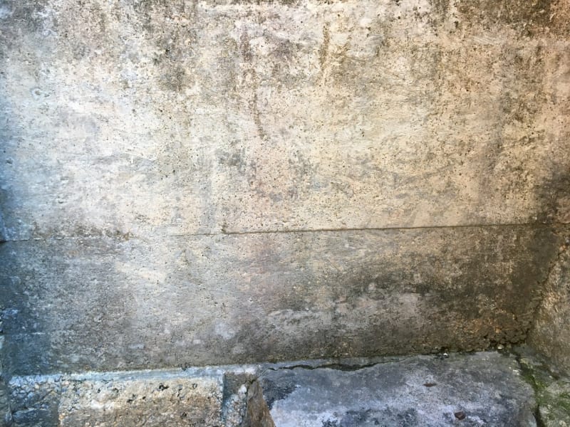 D9EA4521-FE54-4875-B19E-2E00A8647092_kvbm3q.jpg