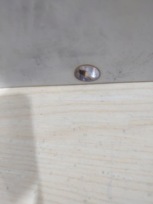 DSC_1466_qjqyuo.jpg