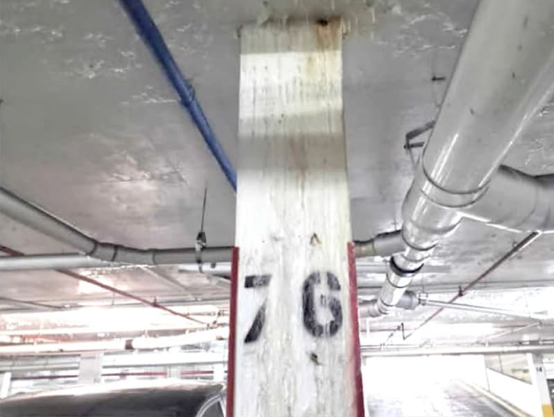 Column_76_from_MH_magslr.jpg