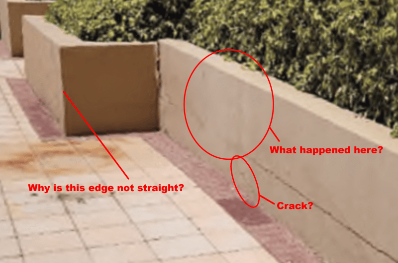 June-2021-planter-questions_t75jef.png
