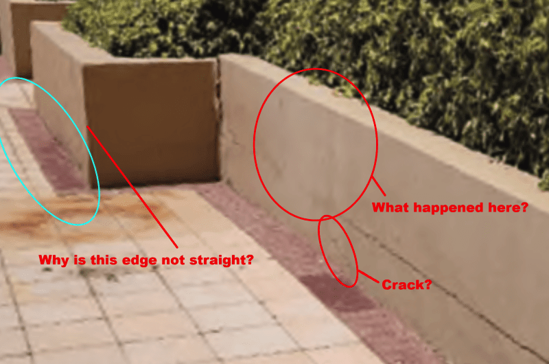 June-2021-planter-questions_t75jef_bcfqdu.png