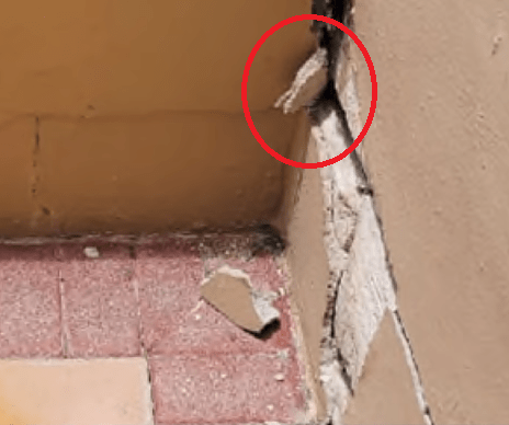 Stucco-side-view-not-root-or-branch-crop_rwf9cs.png