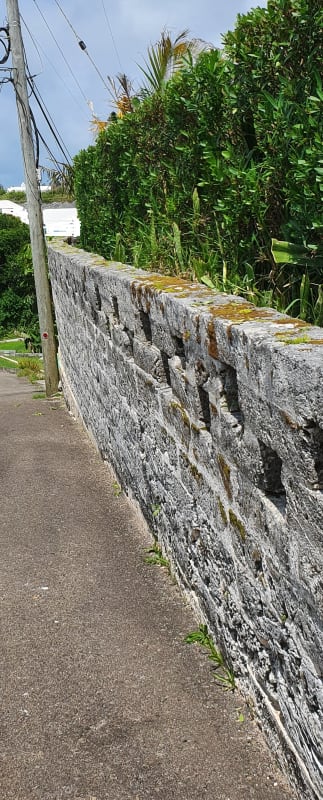 Wall_and_Pole_Image_-_Copy_oho75j.jpg