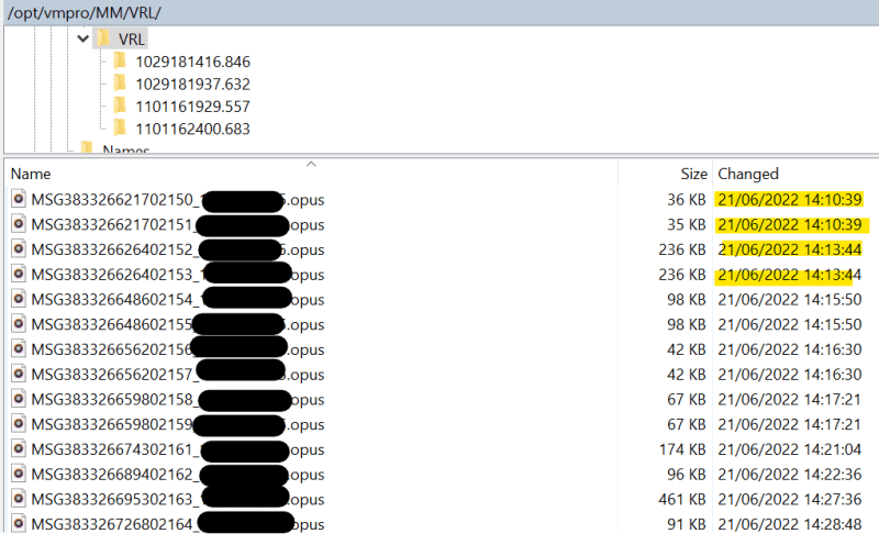 Duplicate_files_amc66n.png