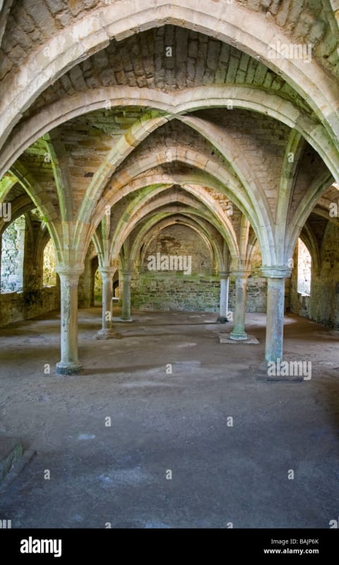 a-medieval-vaulted-ceiling-BAJP6K_pnjov4.jpg