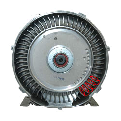2538439_bvik7n.jpg