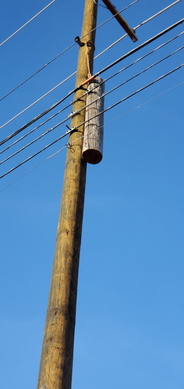 20230517_185507_foc9et.jpg